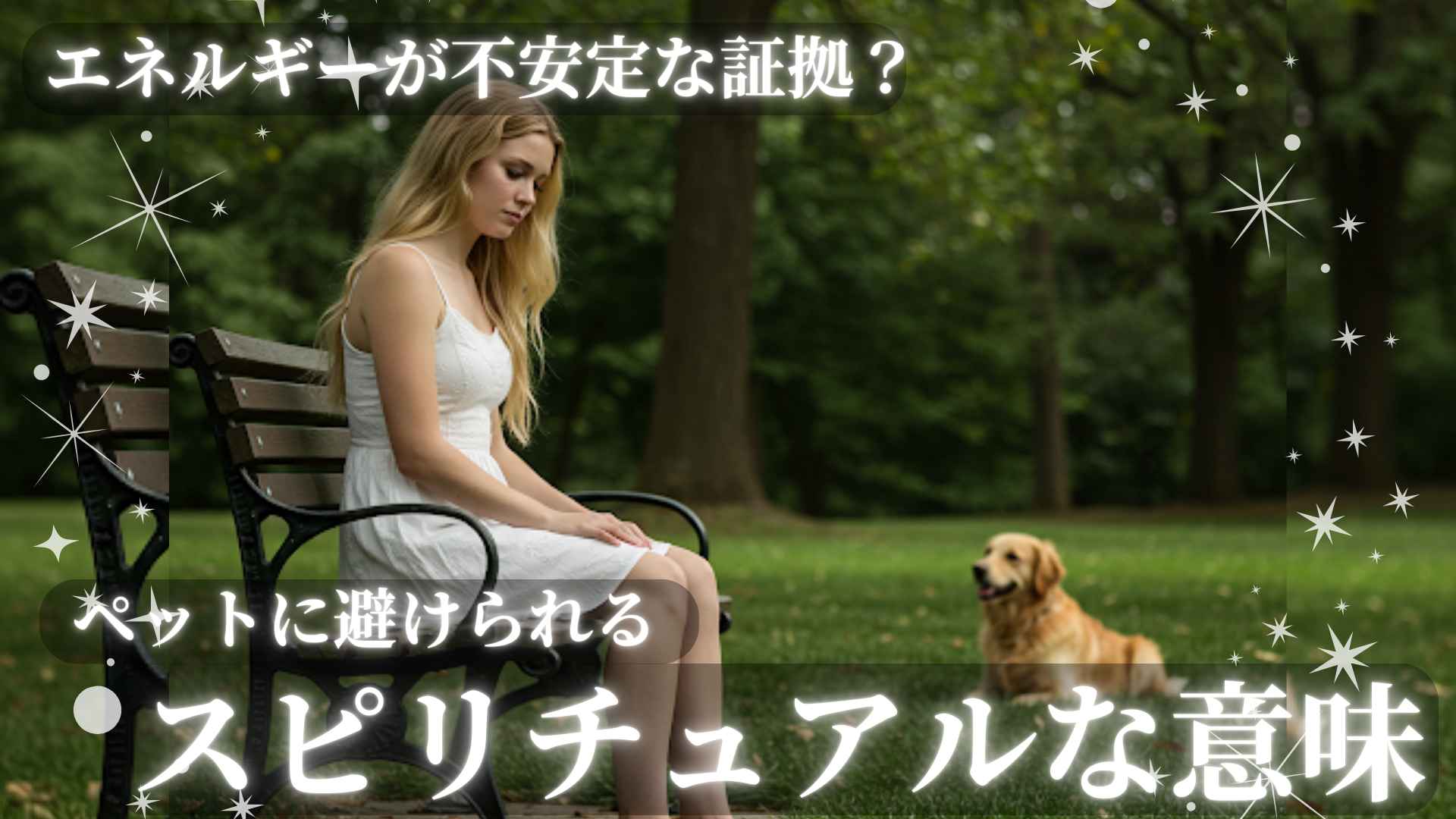 ペットに避けられるスピリチュアルの意味！エネルギーが不安定な証拠？ 風の時代の猫ブログ